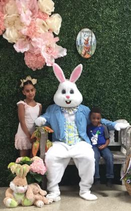 Easter Bunny photos have been postponed at Parkdale Mall. 