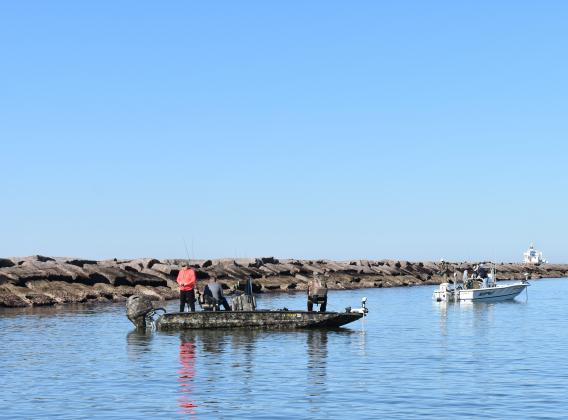 Fishing along the coastal jetties that can be found from Sabine Pass to Galveston can be very good for sheepshead during the late winter months. Best bait is freshly peeled shrimp.