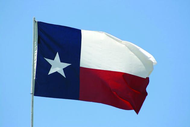 The Texas flag 