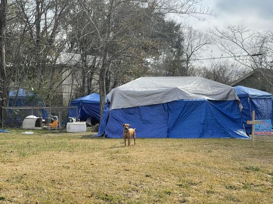 Half a dozen people reportedly live at the tent encampment on Sixth Street and Laurel