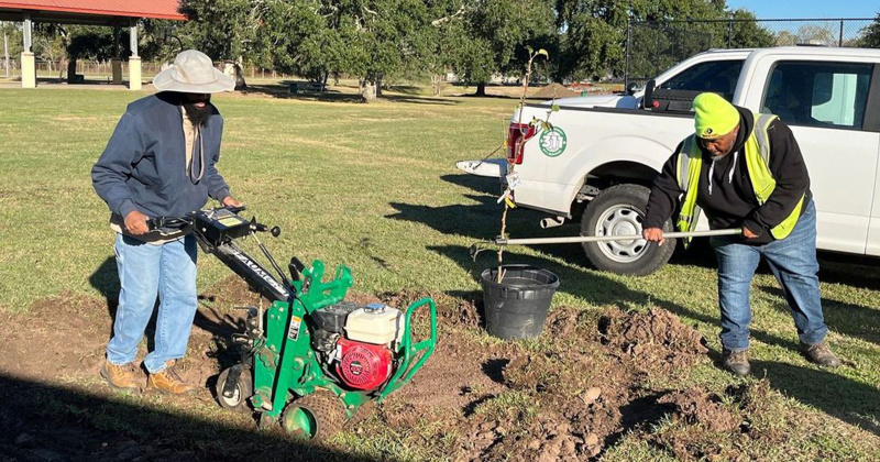 City workers with the Parks and Greenspace department plant dozens of trees at area parks.