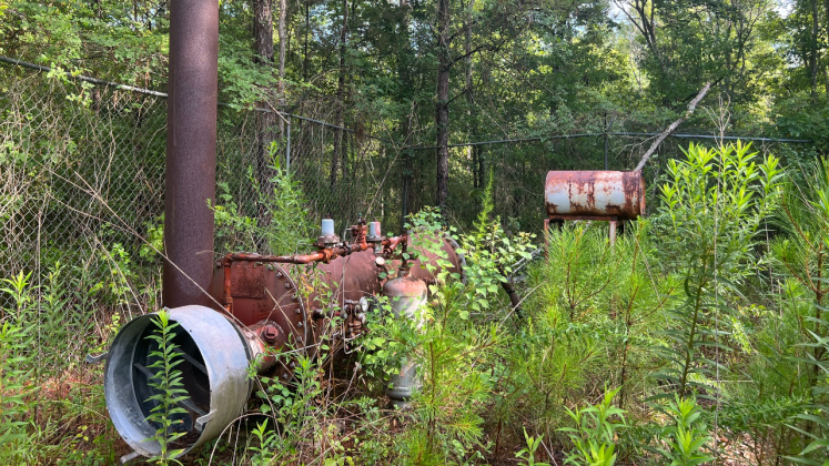 Orphan well located at Big Thicket National Preserve